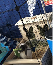 Load image into Gallery viewer, XL Rabbit Hay Feeder With Litter Box-rabbit hay holes