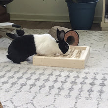 Load image into Gallery viewer, Bunny Rabbit Sisal Digging Box