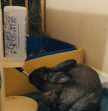 Load image into Gallery viewer, Rabbit, guinea pig, chinchilla water bottle holder
