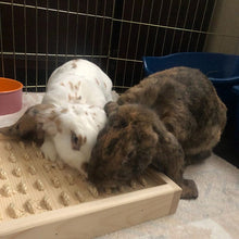 Load image into Gallery viewer, Bunny Rabbit Sisal Digging Box