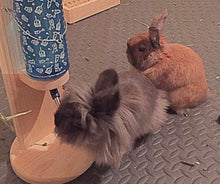 Load image into Gallery viewer, Rabbit, guinea pig, chinchilla water bottle holder