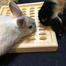 Load image into Gallery viewer, Bunny Rabbit Sisal Digging Box