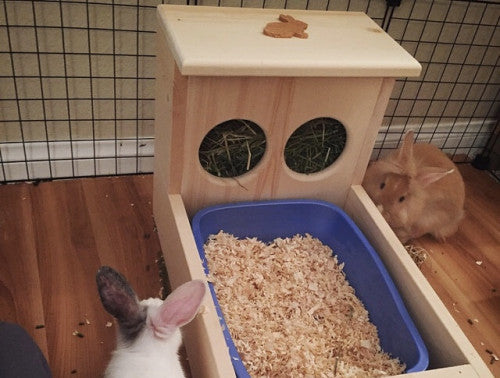 Large rabbit hay feeder with attached litter tray