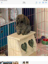 Load image into Gallery viewer, Rabbit Hay Feeder-Heart Model