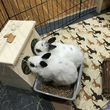 Load image into Gallery viewer, Rabbit Hay Feeder