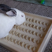 Load image into Gallery viewer, Bunny Rabbit Sisal Digging Box
