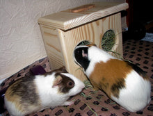 Load image into Gallery viewer, Mini Bunny/Chinchilla/ guinea pig Hay Feeder