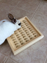 Load image into Gallery viewer, Bunny Rabbit Sisal Digging Box