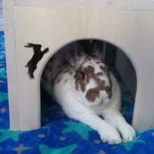 Load image into Gallery viewer, Rabbit House