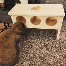 Load image into Gallery viewer, Elevated Rabbit Hay Feeder