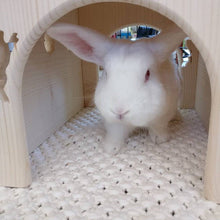 Load image into Gallery viewer, Rabbit House