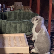 Load image into Gallery viewer, Bunny Rabbit Sisal Digging Box