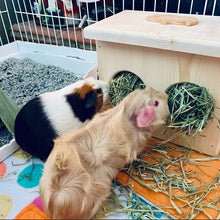 Load image into Gallery viewer, Guinea Pig Hay Feeder