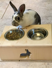 Load image into Gallery viewer, Bunny rabbit feeder with two bowls