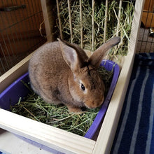 Load image into Gallery viewer, Rabbit Hay Feeder With Litter Box, dowel model