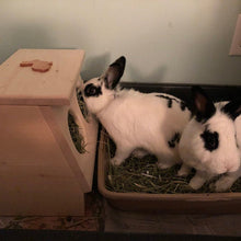 Load image into Gallery viewer, Rabbit Hay Feeder