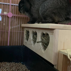 Bunny Rabbit Hay feeder for over litter tray-heart model
