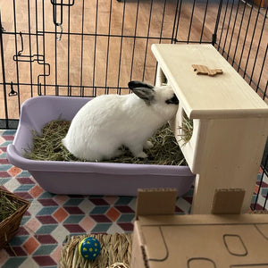 Bunny Rabbit Hay feeder for over litter tray-heart model