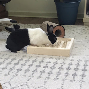 Bunny Rabbit Sisal Digging Box