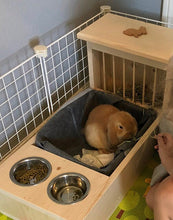 Load image into Gallery viewer, Rabbit Hay Feeder With Litter Box, Food and Water Bowls, dowel model
