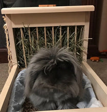 Load image into Gallery viewer, Rabbit Hay Feeder With Litter Box, Food and Water Bowls, dowel model
