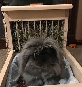 Rabbit Hay Feeder With Litter Box, Food and Water Bowls, dowel model