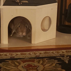 Bunny Rabbit Corner Castle House