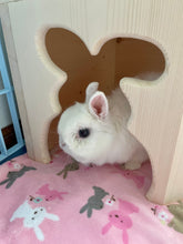 Load image into Gallery viewer, Bunny Rabbit Corner Castle House
