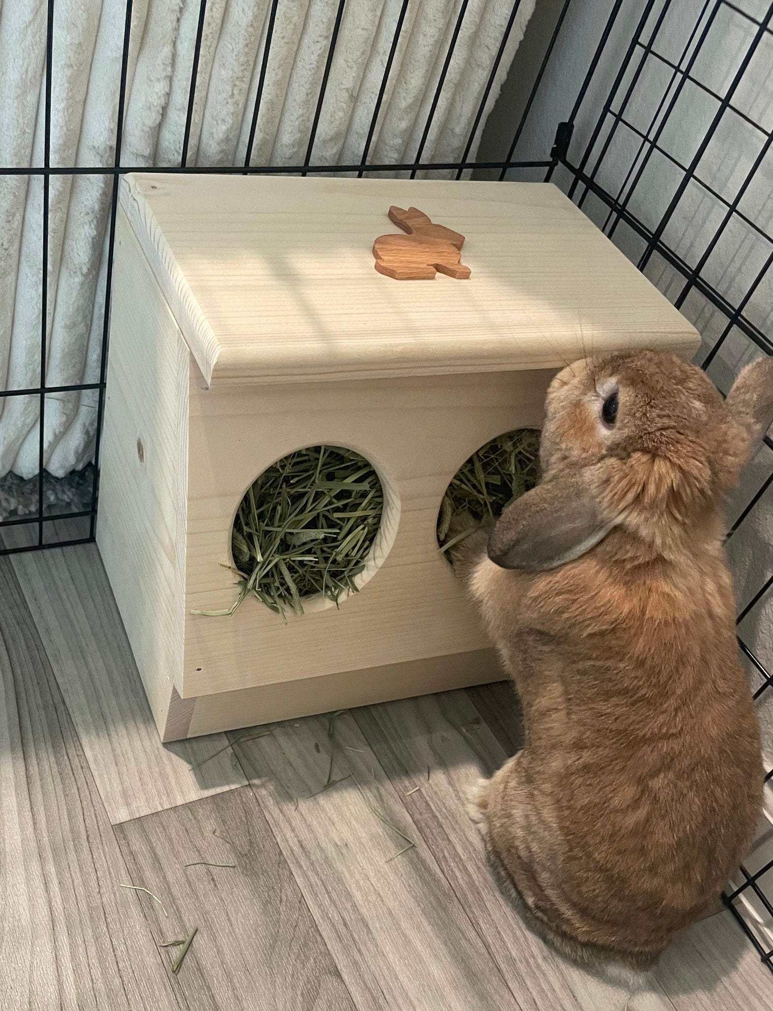 Rabbit hotsell hay box