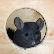 Load image into Gallery viewer, Custom chinchilla house

