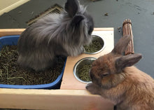 Load image into Gallery viewer, Rabbit Hay Feeder With Litter Box, Food and Water Bowls, dowel model
