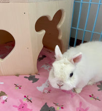 Load image into Gallery viewer, Bunny Rabbit Corner Castle House
