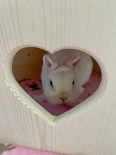 Load image into Gallery viewer, Bunny Rabbit Corner Castle House
