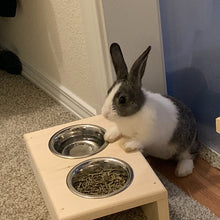 Load image into Gallery viewer, Pet Bunny Rabbit Feeding Station
