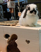 Load image into Gallery viewer, Rabbit Tunnel House
