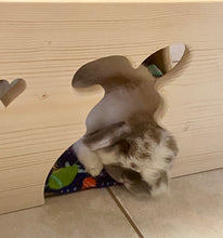 Load image into Gallery viewer, Rabbit Tunnel House
