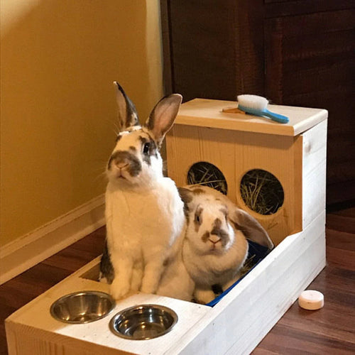 Large rabbit hay feeder with attached litter box and attached bowl holders with two 1  pint stainless bowls
