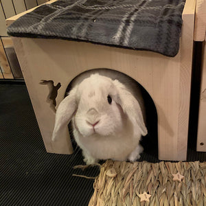 Bunny rabbit house with one arched door