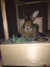 Load image into Gallery viewer, XL rabbit Hay Feeder with Litter Box and Bowls
