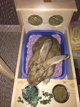 Load image into Gallery viewer, XL rabbit Hay Feeder with Litter Box and Bowls
