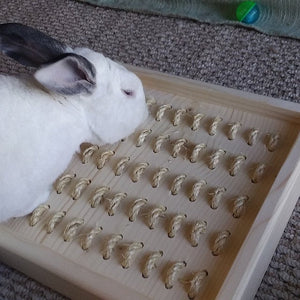 Bunny Rabbit Sisal Digging Box – BunnyRabbitShop