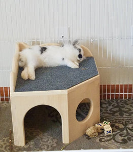 Bunny Rabbit Corner Castle House