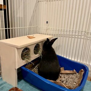 Elevated Rabbit Hay Feeder