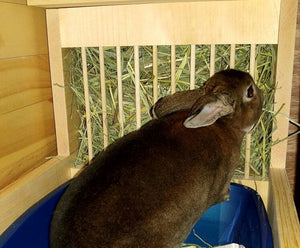 Rabbit Hay Feeder With Litter Box, dowel model