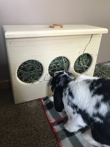 3 hole slim fit rabbit hay feeder