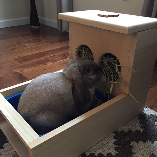 Rabbit hay feeder with litter box
