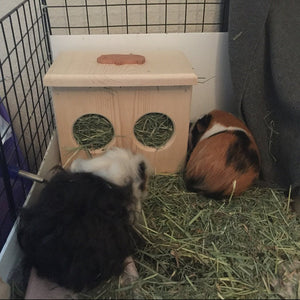 Mini Bunny/Chinchilla/ guinea pig Hay Feeder