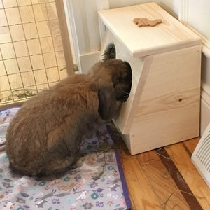 Rabbit Hay Feeder