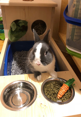 Rabbit hay feeder with attached litter tray and attached bowl holder with two .5 pint bowls