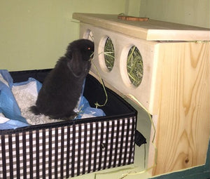 Elevated Rabbit Hay Feeder